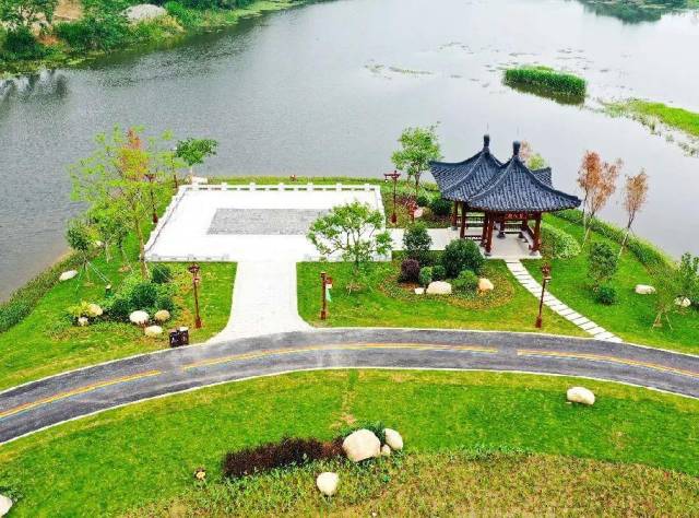 太平鳳凰濕地公園一隅,。