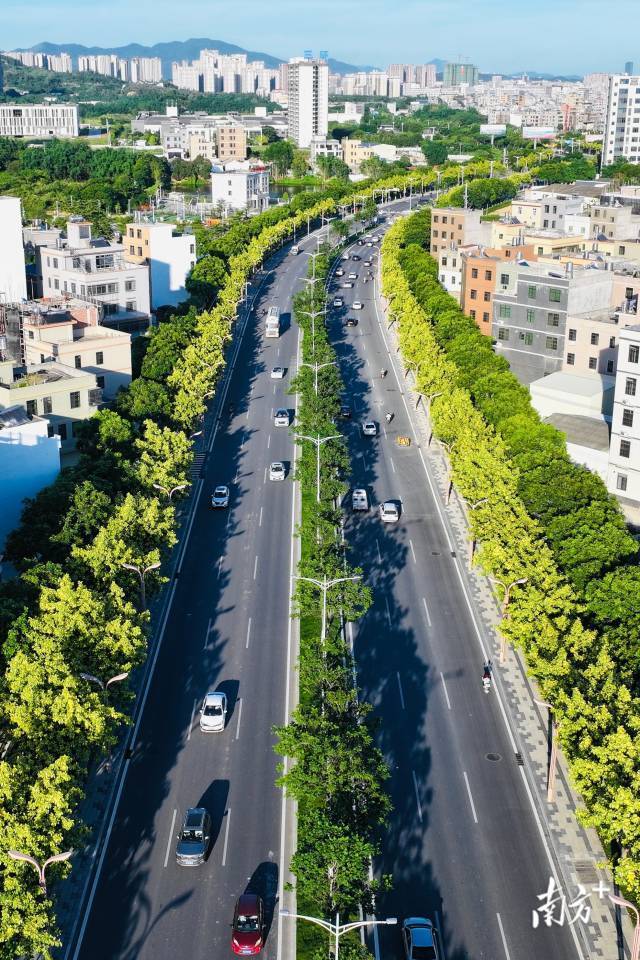 外環(huán)北路（潮安段）綠意盎然,。