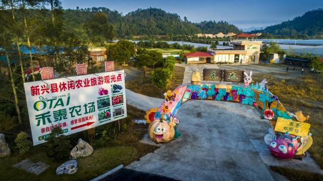 禾泰農(nóng)場(chǎng)千畝果園,。