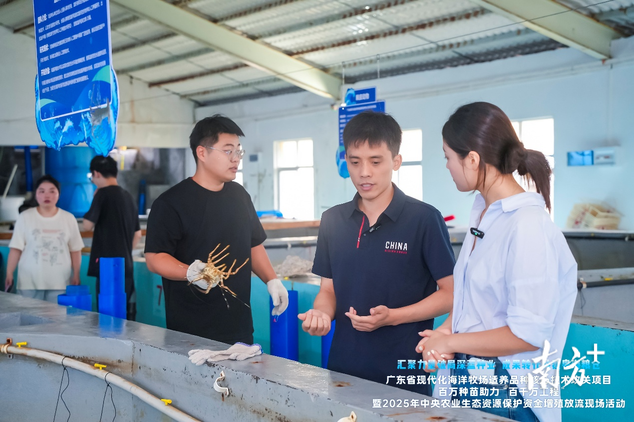 科研团队成员现场教学技术立异点以及关键突破