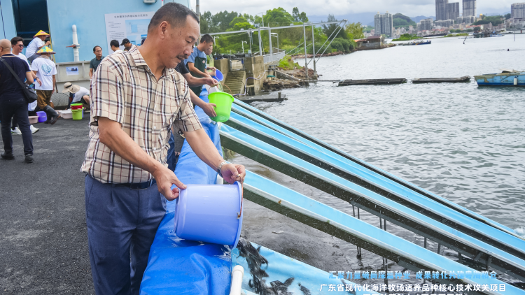 廣東“以魚還漁”護生態(tài),！增殖放流助力漁業(yè)資源可持續(xù)發(fā)展