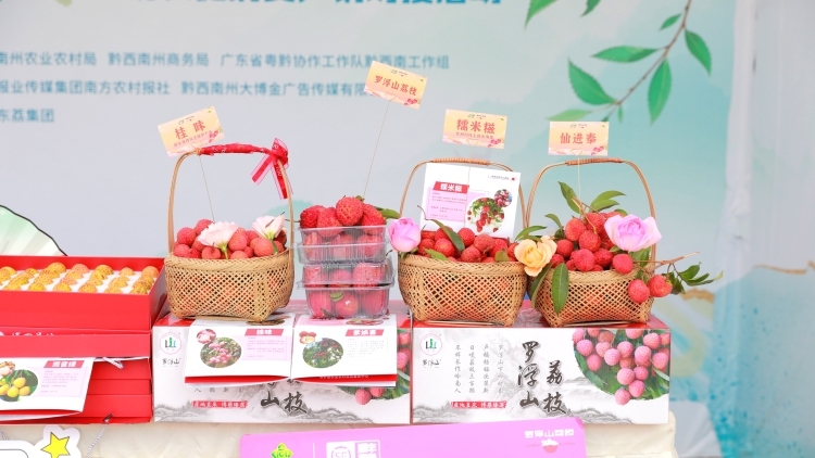 南農(nóng)晨讀 | 荔動黔西南 惠享好食光