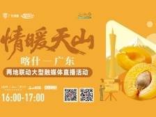 疆品南下，“杏”运湾区！喀什-广东两地联动直播