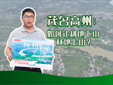 茂名高州：如何让耕地下山、林地上山