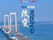 南方+视频丨365天，深中通道改变“湾区之心”