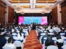 中山：以奋发有为的姿态迎接深中通道通车一周年