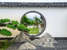 周末打卡花都竹洞村：赏千竿翠竹，看盆景生财