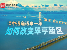 南方策划｜深中通道通车一年，如何改变翠亨新区？