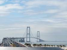 深中通道一周年，《南方日报·江门观察》洞察深江合作新势能