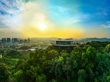 科学赋能 融合发展①｜新湖街道以高质量党建引领高质量发展