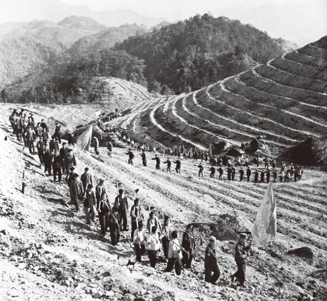 各公社造林大軍向荒山行進 方權(quán)裕攝
