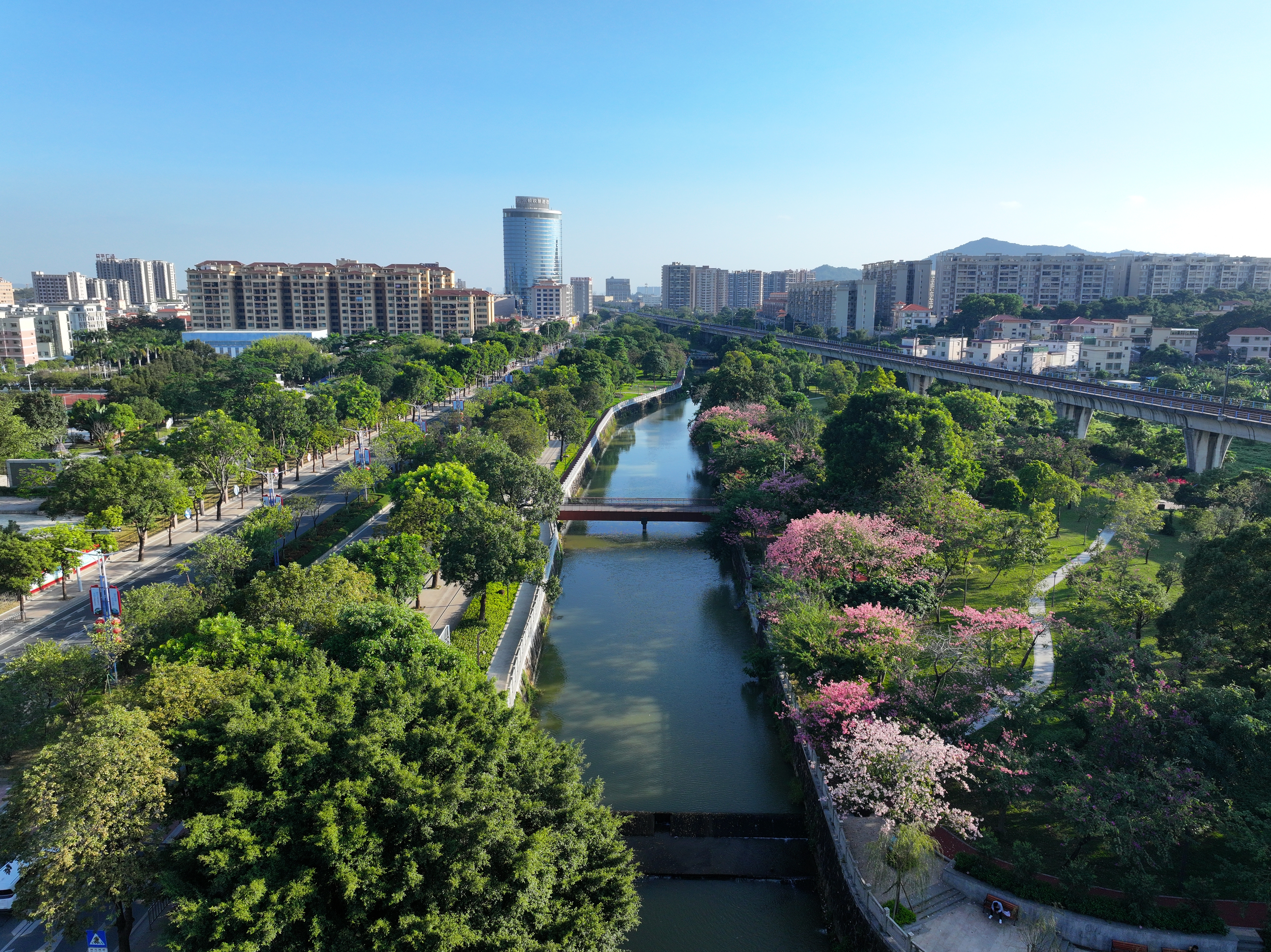 廣東中山：治水三年，踏平坎坷成大道