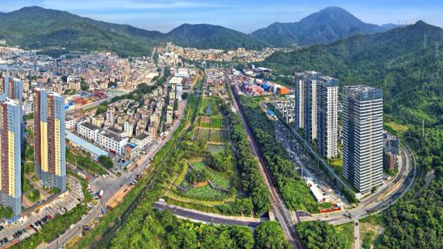 深圳龙岗园山街道：“一社区一品牌”绘就百花齐放新“园”景