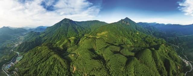 懷集三岳自然保護區(qū)滿目蒼翠 吳勇強攝