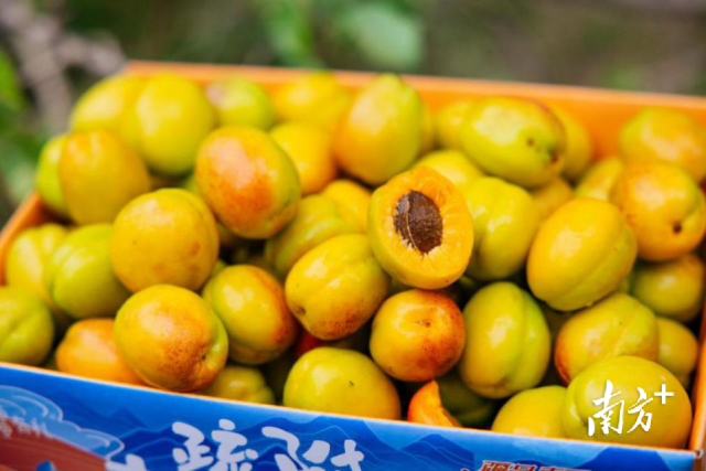 受訪者供圖
