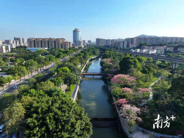 中山市大溪河流域治理后水清岸綠，成為群眾休閑的好去處,。