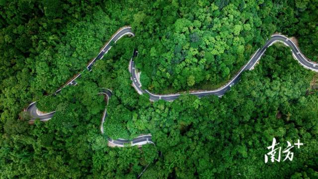 5名中國公民在美國交通事故中遇難