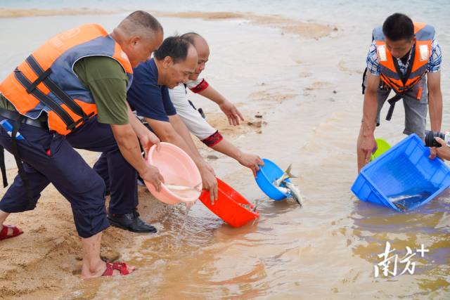 珠江结束休渔期，渔民耕耘万绿湖