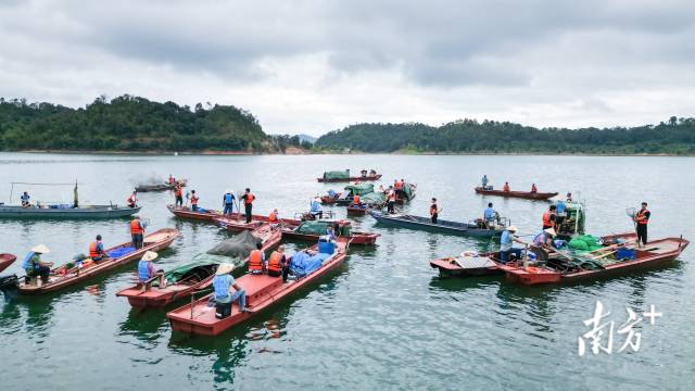 珠江结束休渔期，渔民耕耘万绿湖
