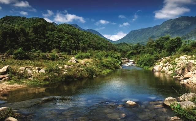 三岳自然保護區(qū)風(fēng)景  