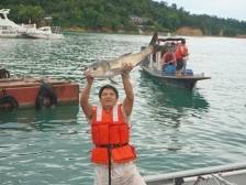 晨观山海 | 万绿湖开渔啦！