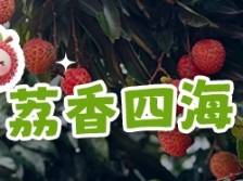 甜蜜一“厦” 荔香四海