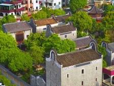 “头雁”领飞，顺德“亿元村”增值提质