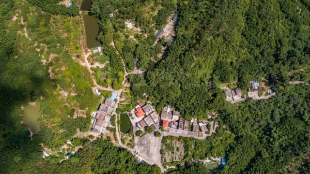 盘活五桂山资源，打造文旅新标杆｜中山“百千万”·每周荐