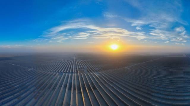 跨越万里，粤新产业如何实现“双向奔赴”？