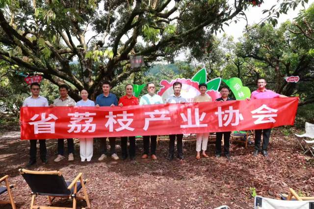 省荔枝產(chǎn)業(yè)協(xié)會在“將軍綠”母樹下合影,。