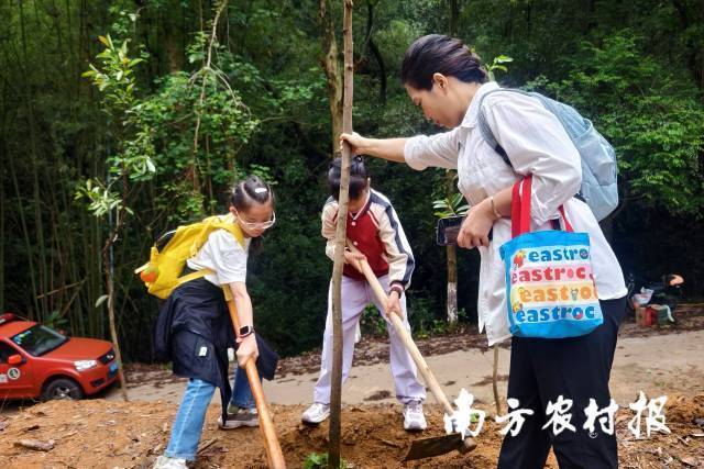 受訪者供圖