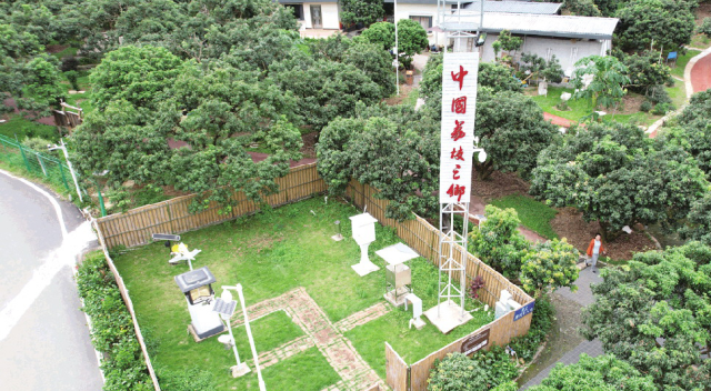 位于智能化生態(tài)荔枝園里的氣象站
