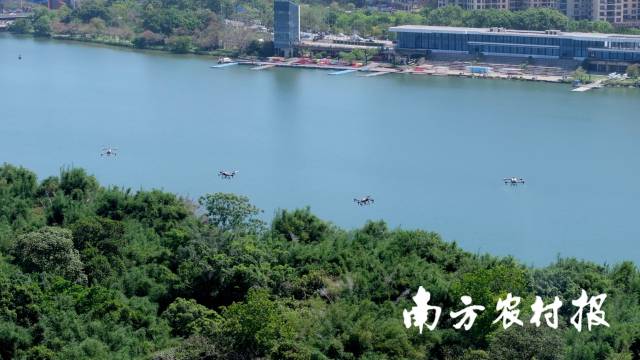 應(yīng)用無(wú)人機(jī)開(kāi)展無(wú)人機(jī)進(jìn)行林業(yè)有害生物防治