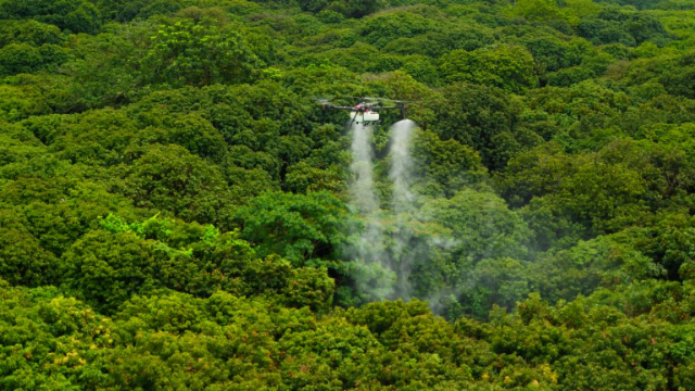 極飛農(nóng)業(yè)無人飛機(jī)正在荔枝園進(jìn)行植保作業(yè)