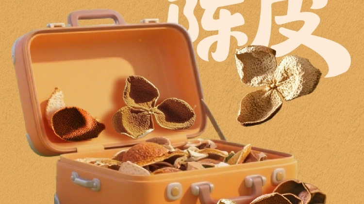 新會(huì)陳皮，嶺南寄往絲路的風(fēng)味信箋｜行李箱里的廣東手信⑤