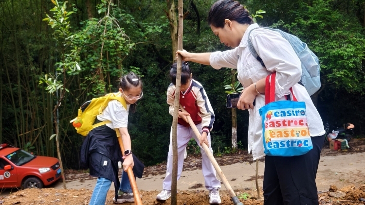 人數(shù)、場(chǎng)次全國(guó)第一,！廣東植樹造林蔚然成風(fēng)