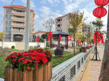 茂名滨海新区基层党组织激活区域发展动能