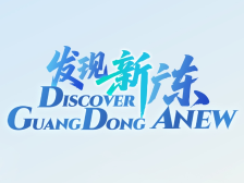 一图读懂 | 什么是广东四大国际传播平台？