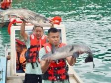 晋级国家5A级旅游景区后首个开渔季，万绿湖何处“鱼”众不同？