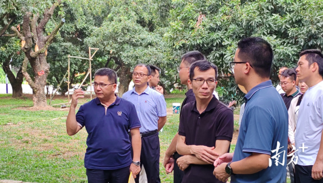 駐鎮(zhèn)工作隊與鎮(zhèn)政府研討古荔園保護方法,。