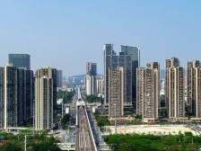 党建引领高质量发展·书记说｜刘云红：塑深圳北部“封面”，植湾区科创“梧桐”