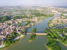 顺德：敢饮“头啖汤”，激活基层治理新效能