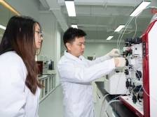 科学赋能 融合发展④∣新湖街道：用人才“朋友圈”， 绘治理“同心圆”