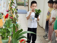 小手护绿意，童心绘自然！云鹤社区开展公益环保绿美活动