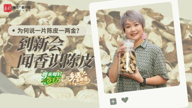 来新会，闻香“识”陈皮｜粤来粤好百千万