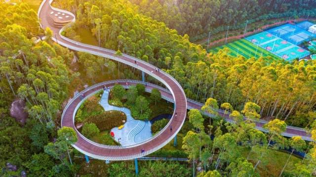 珠海7集体、7个人上榜！绿美广东生态建设表扬名单揭晓