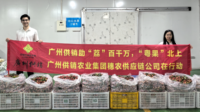 首批3000斤增城桂味荔枝在广州供销助“荔”“百千万”,“粤果”北上行动中,“飞”越千山万水抵达喀什 首批3000斤增城桂味荔枝在广州供销助“荔”“百千万”,“粤果”北上行动中,“飞”越千山万水抵达喀什