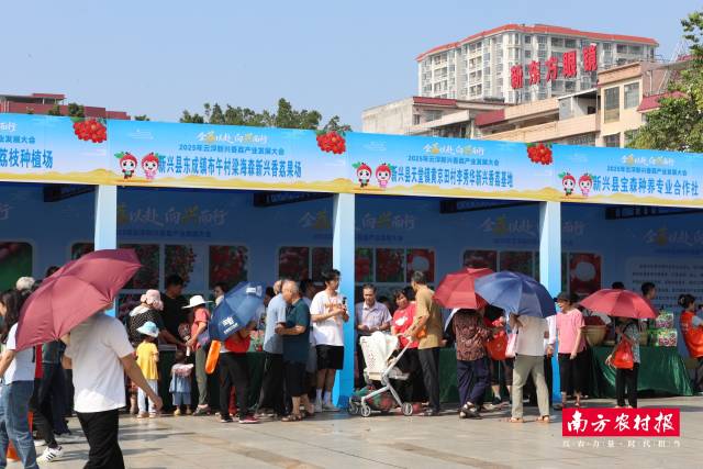 前来荔枝集市逛展的新兴市民游客。