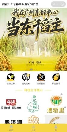 “稻田时光”微信小程序同步上线“我在广东东部中心当东‘稻’主计划”。
