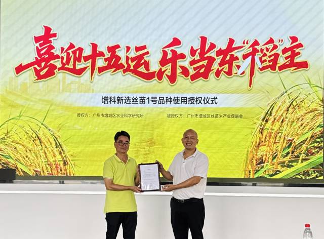 我在广州东部中间当东“稻”主 ——增城东“稻”主哺育妄想启动